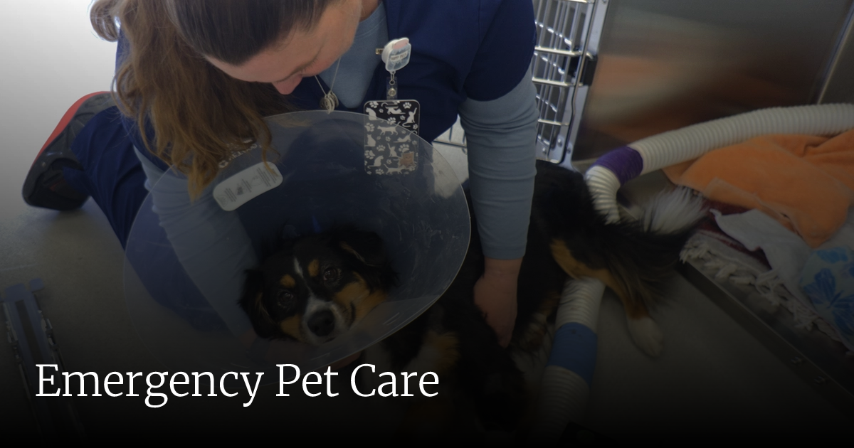 Pet Emergency & Specialty Center of Marin