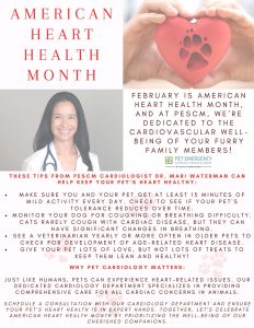 February Is American Hearth Health Month