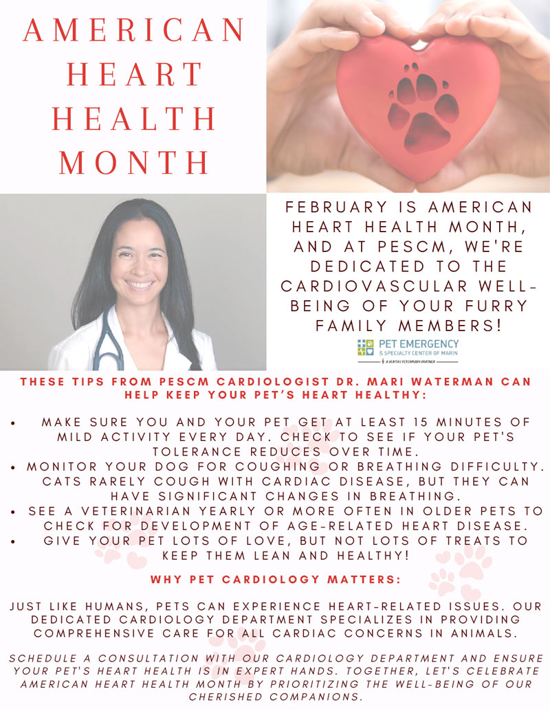 February is American Hearth Health Month